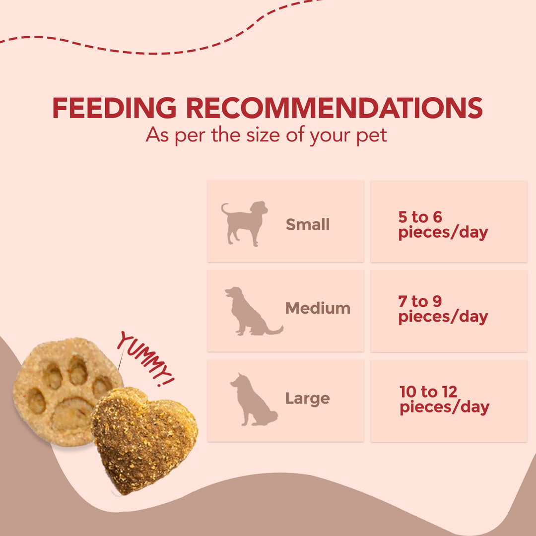 Vegan Treats (Peanut Butter & Banana Bites) 100g