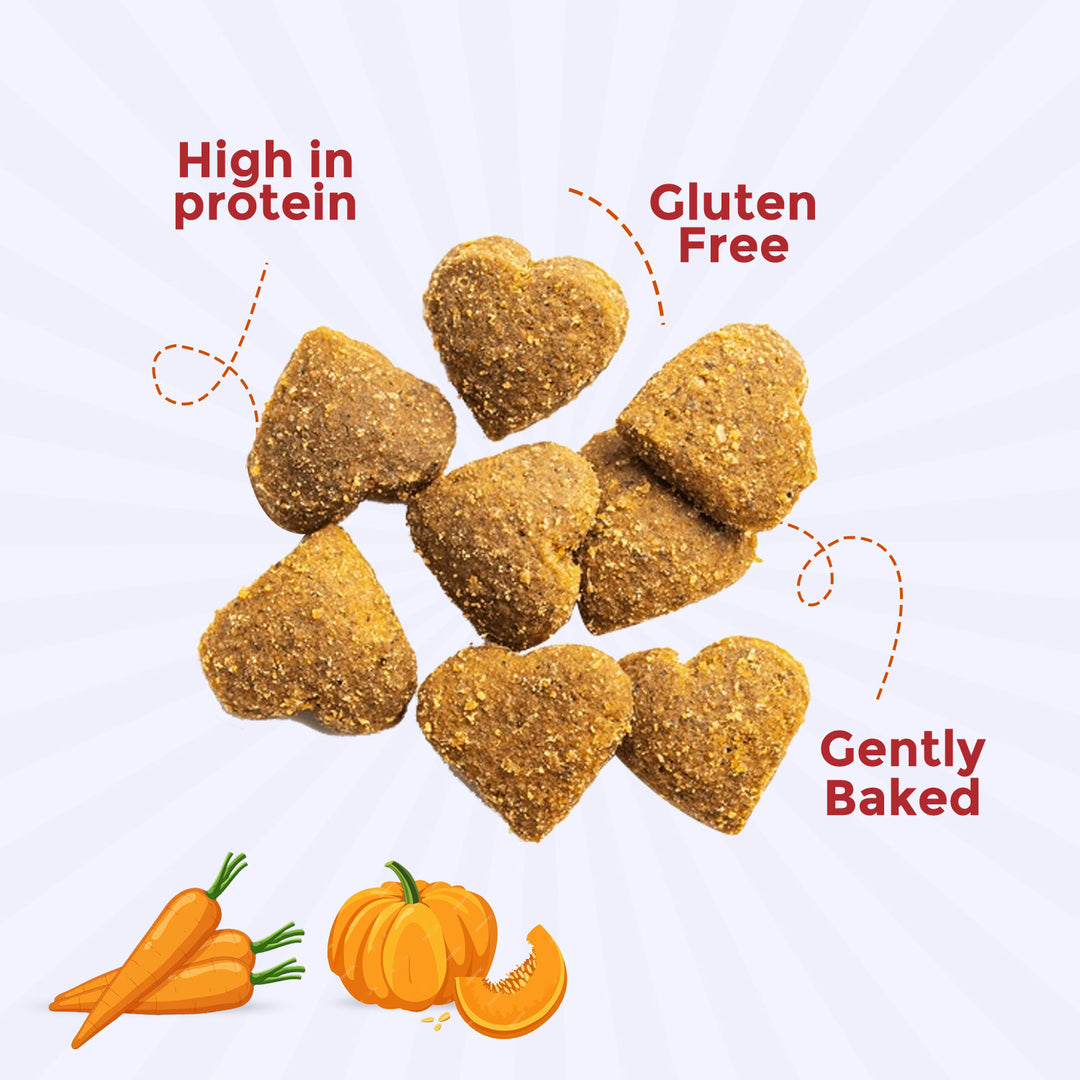 Vegan Treats (Carrot & Pumpkin Bites) 100g