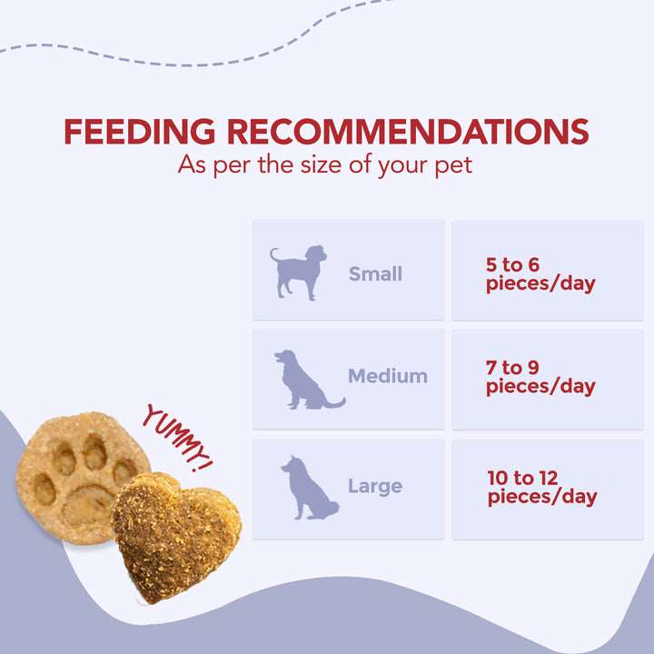 Vegan Treats (Carrot & Pumpkin Bites) 100g