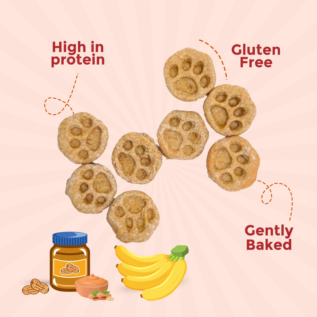 Vegan Treats (Peanut Butter & Banana Bites) 100g