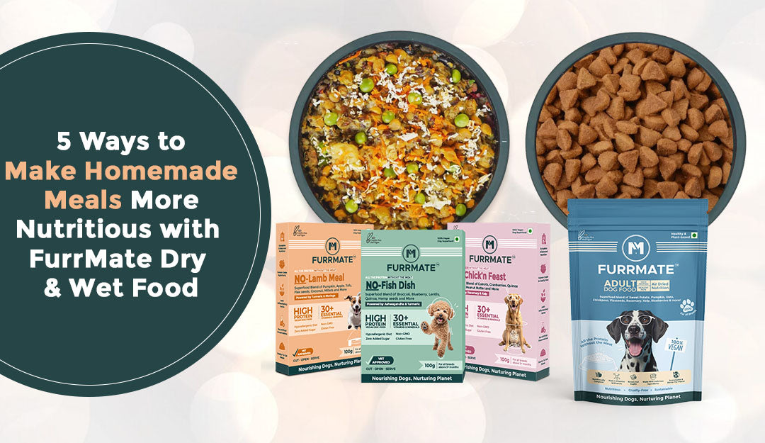 5 Ways to Make Homemade Meals More Nutritious with FurrMate Dry & Wet Food