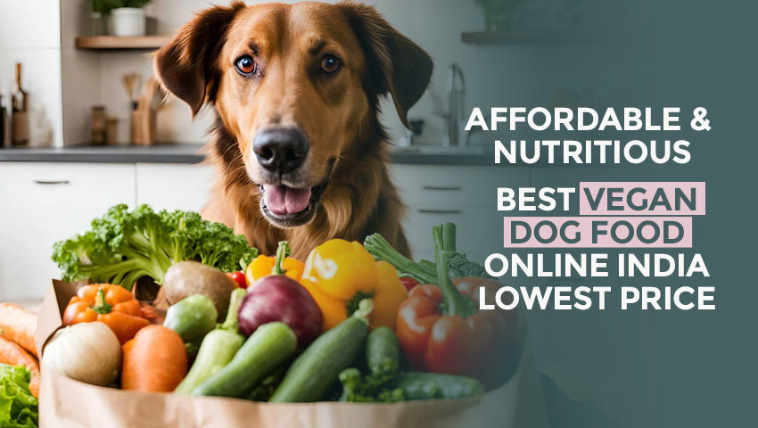 Affordable & Nutritious: Best Vegan Dog Food Online India Lowest Price