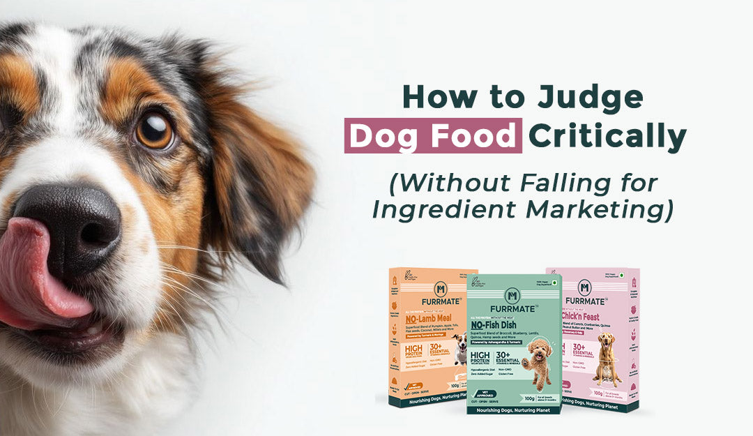 How to Judge Dog Food Critically in India (Without Falling for Ingredient Marketing)