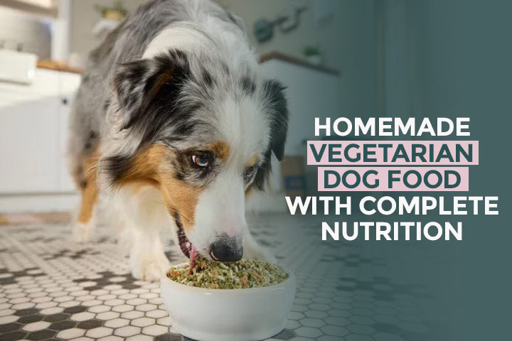 Homemade Vegetarian Dog Food with Complete Nutrition