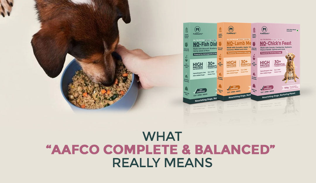 What “AAFCO Complete & Balanced” Really Means