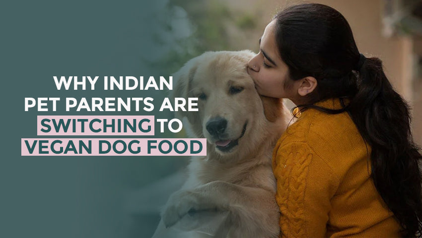 Why Indian Pet Parents Are Switching to Vegan Dog Food