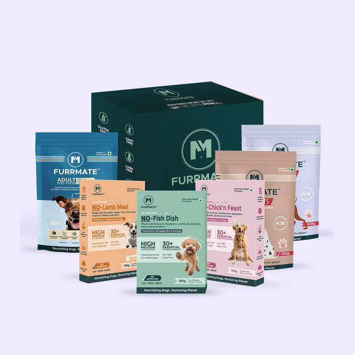 6-in-1 Starter Pack — More Taste, More Health, Less Spend