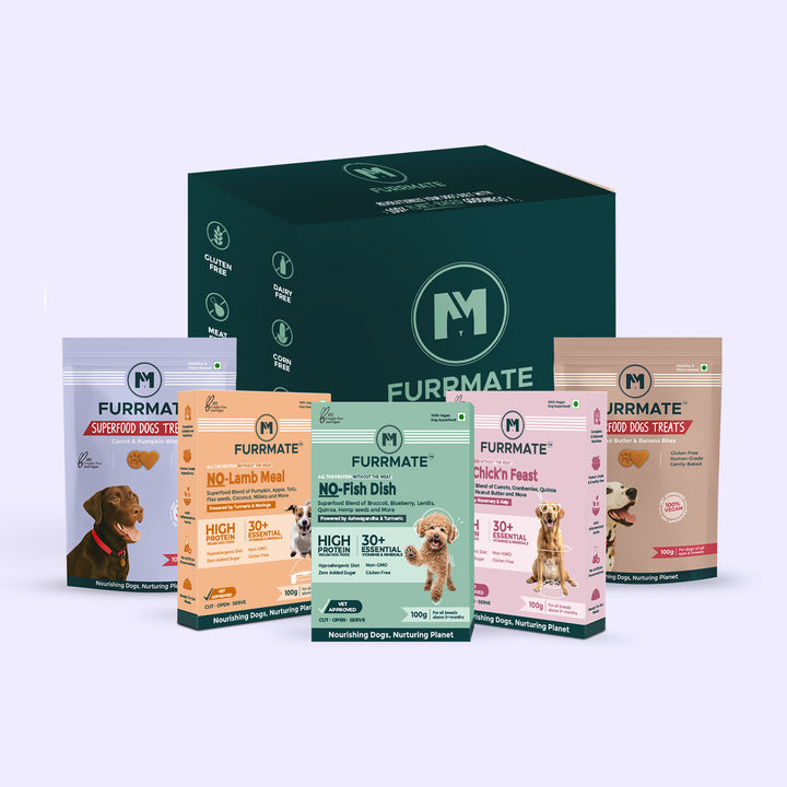 5-in-1 Starter Pack — More Taste, More Health, Less Spend