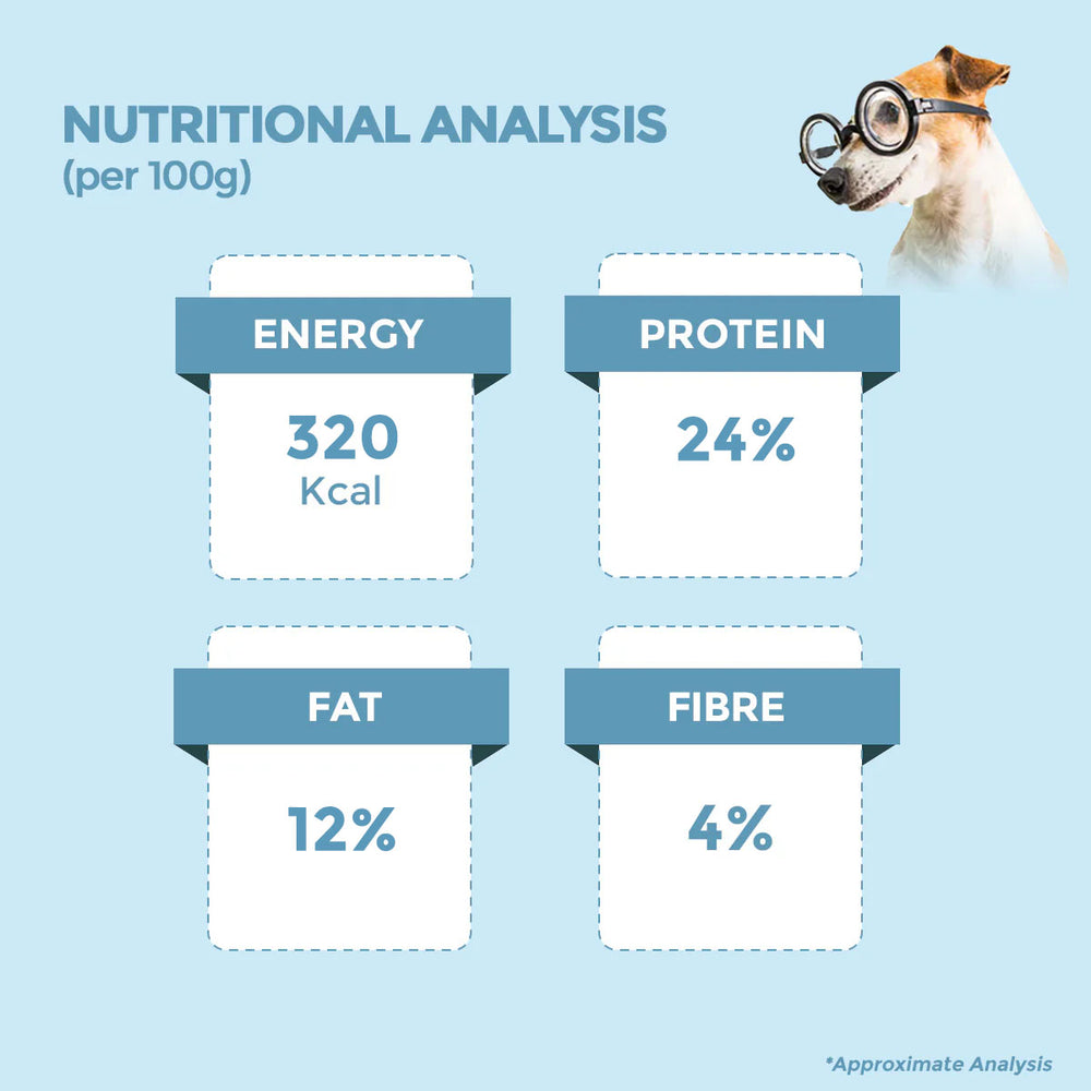 Typical protein levels by dog food type