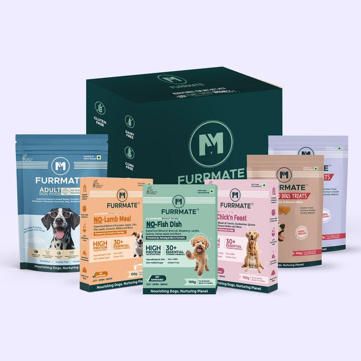 6-in-1 Starter Pack — More Taste, More Health, Less Spend