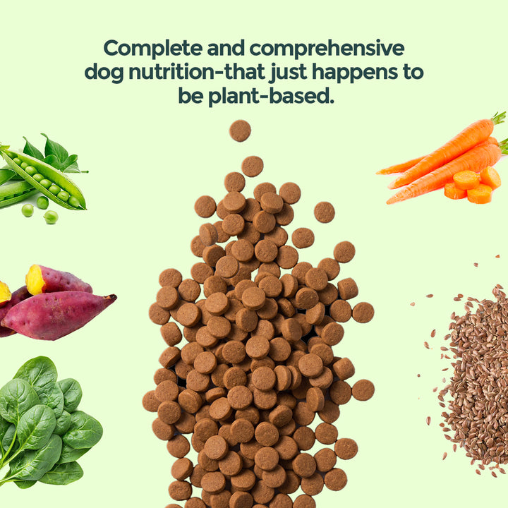 Daily Nourish Adult Dog Food