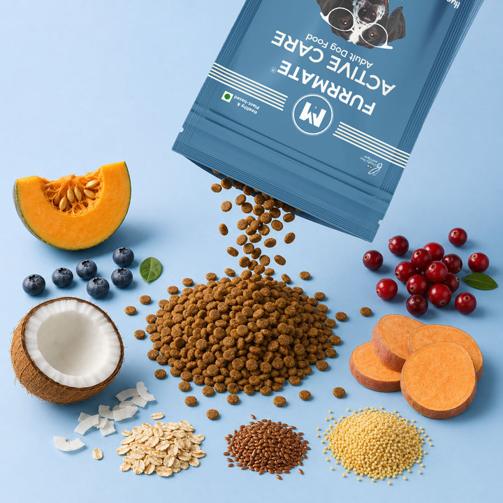 Active Care Dry Food