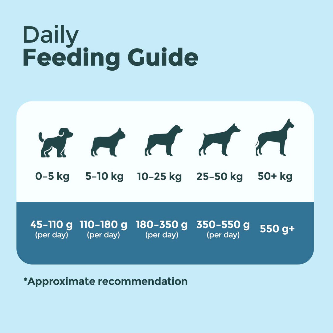 Active Care Dry Food