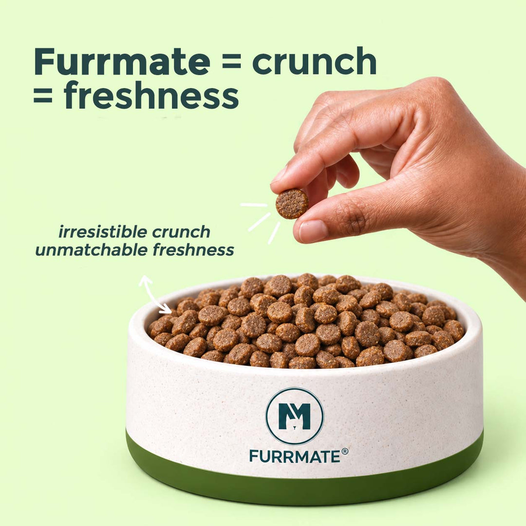 Daily Nourish Dry Food