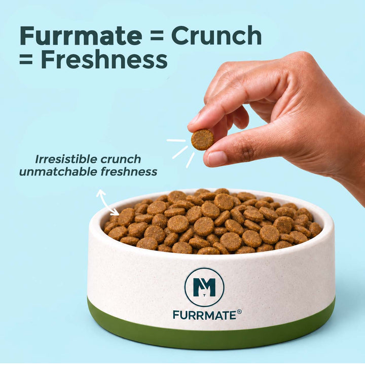 Active Care Dry Food