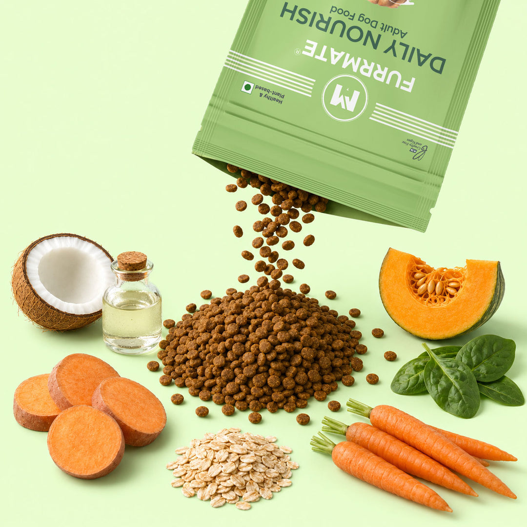 Daily Nourish Dry Food