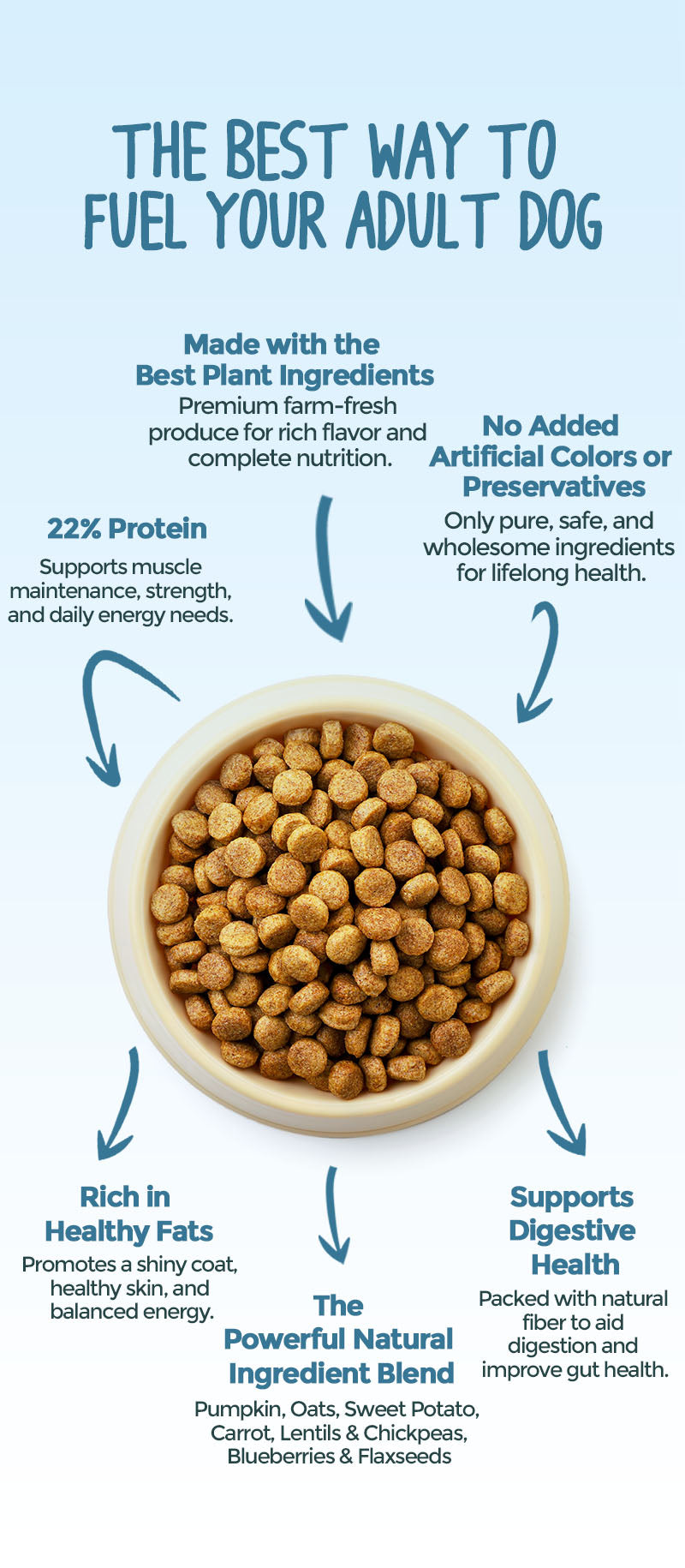 Do Dogs Get Nutritional Value from Non Meats? Essential Insights